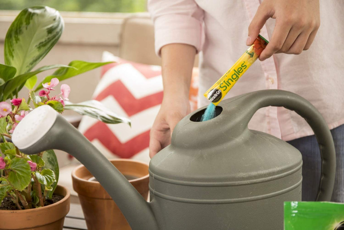 Miracle-Gro Watering Can Singles in use, nourishing garden plants