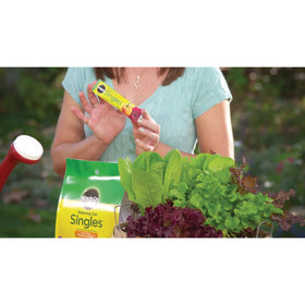 Miracle-Gro Watering Can Singles promote vibrant green leaves with regular feeding