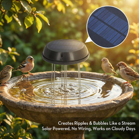 Miriam Song solar panel powers a quiet fountain all day