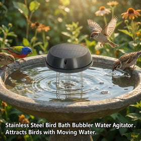 Miriam Song water agitator keeps bird bath water oxygenated and clear