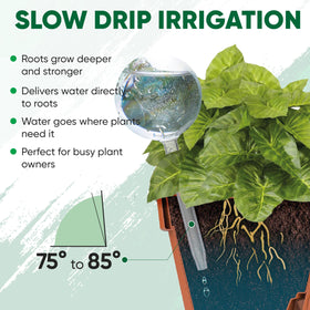 Mission Gallery automatic watering globes offer hands-free plant care for busy days.