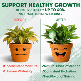 Mission Gallery glass-watering-bulbs-100ml — clear capacity and easy monitoring.