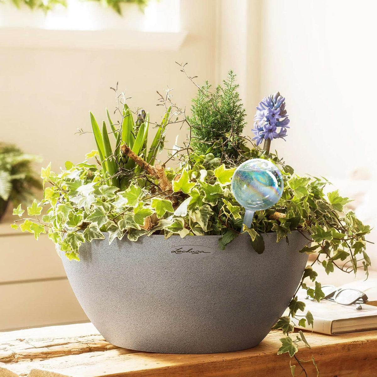 Mission Gallery glass watering bulbs for indoor plants provide steady moisture with minimal attention.