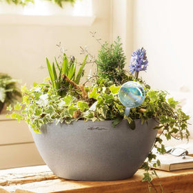 Mission Gallery glass watering bulbs for indoor plants provide steady moisture with minimal attention.