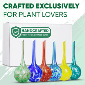 Mission Gallery globes support plant roots by preventing overwatering.