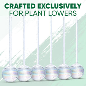 Mission Gallery hanging plant irrigation globes simplify care for suspended planters.