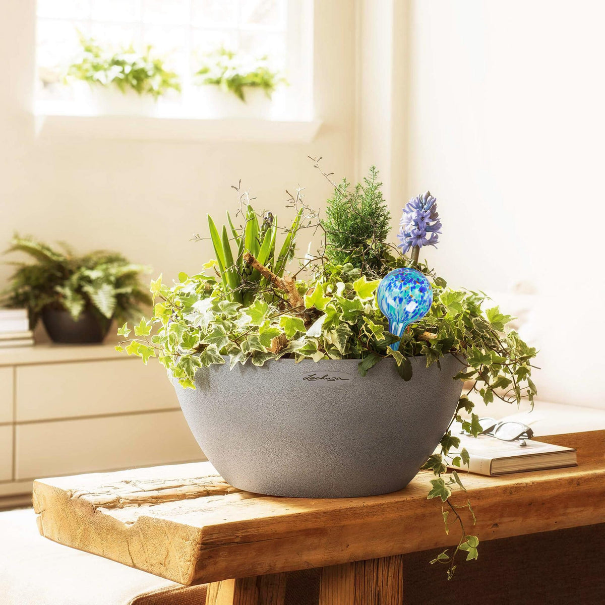 Mission Gallery indoor-outdoor use globes — suitable for various plant environments.
