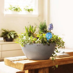 Mission Gallery indoor-outdoor use globes — suitable for various plant environments.