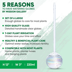 Mission Gallery self-watering bulbs in action support healthy roots for thriving indoor greenery.
