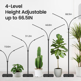 MistyJungle 40W LED array delivers bright, efficient plant illumination.