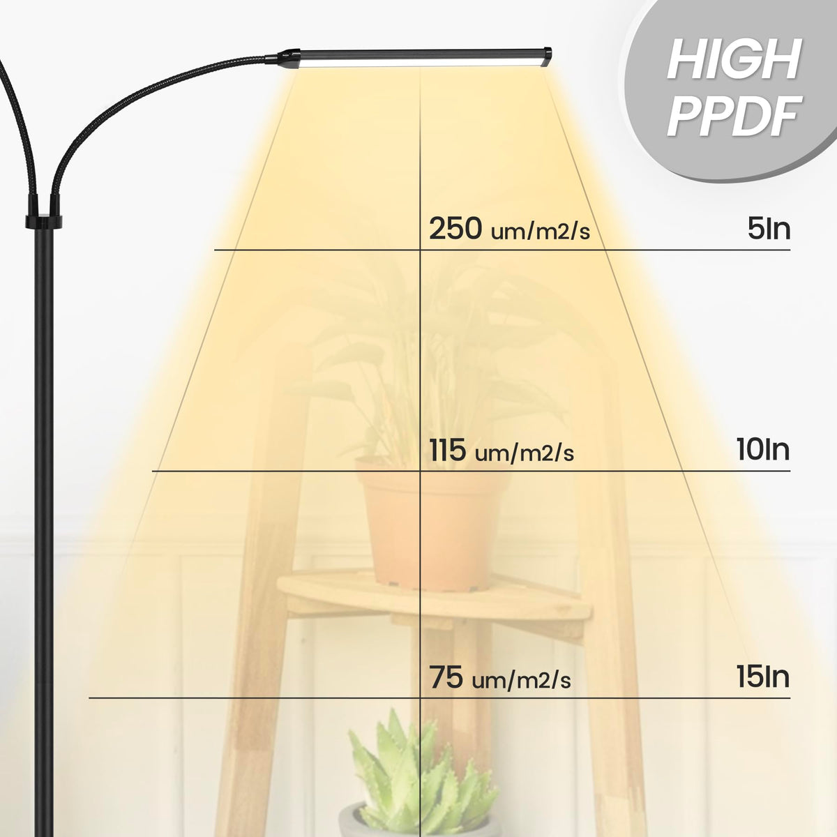 MistyJungle auto-timer function supports hands-free daily lighting.