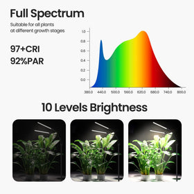 MistyJungle dual-head design evenly distributes light over shelves.