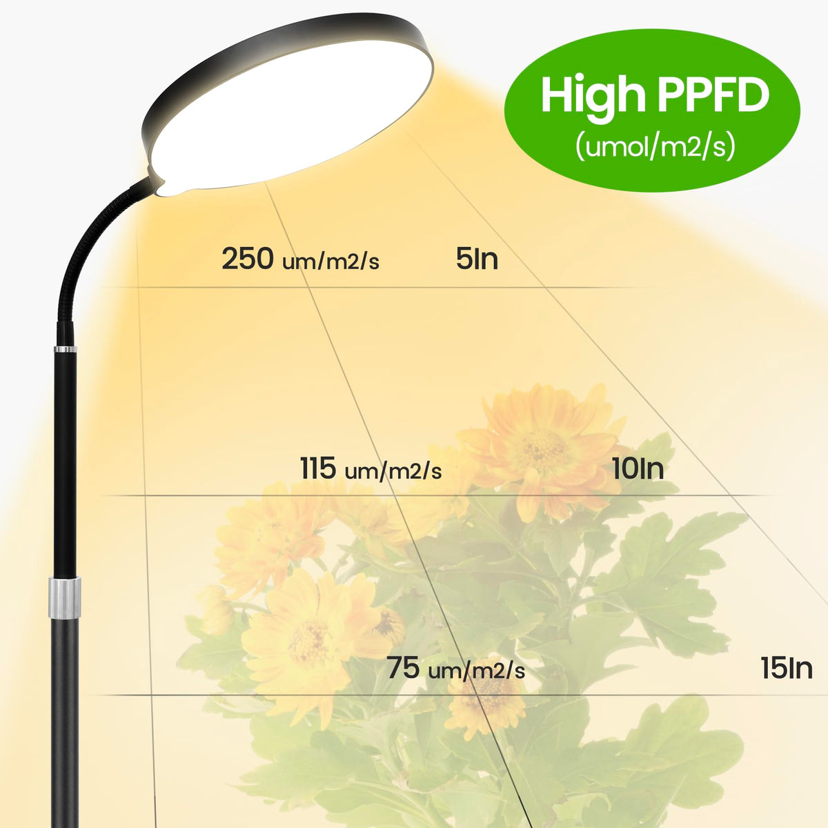 MistyJungle full-spectrum 380-800nm lighting supports healthy leaf development