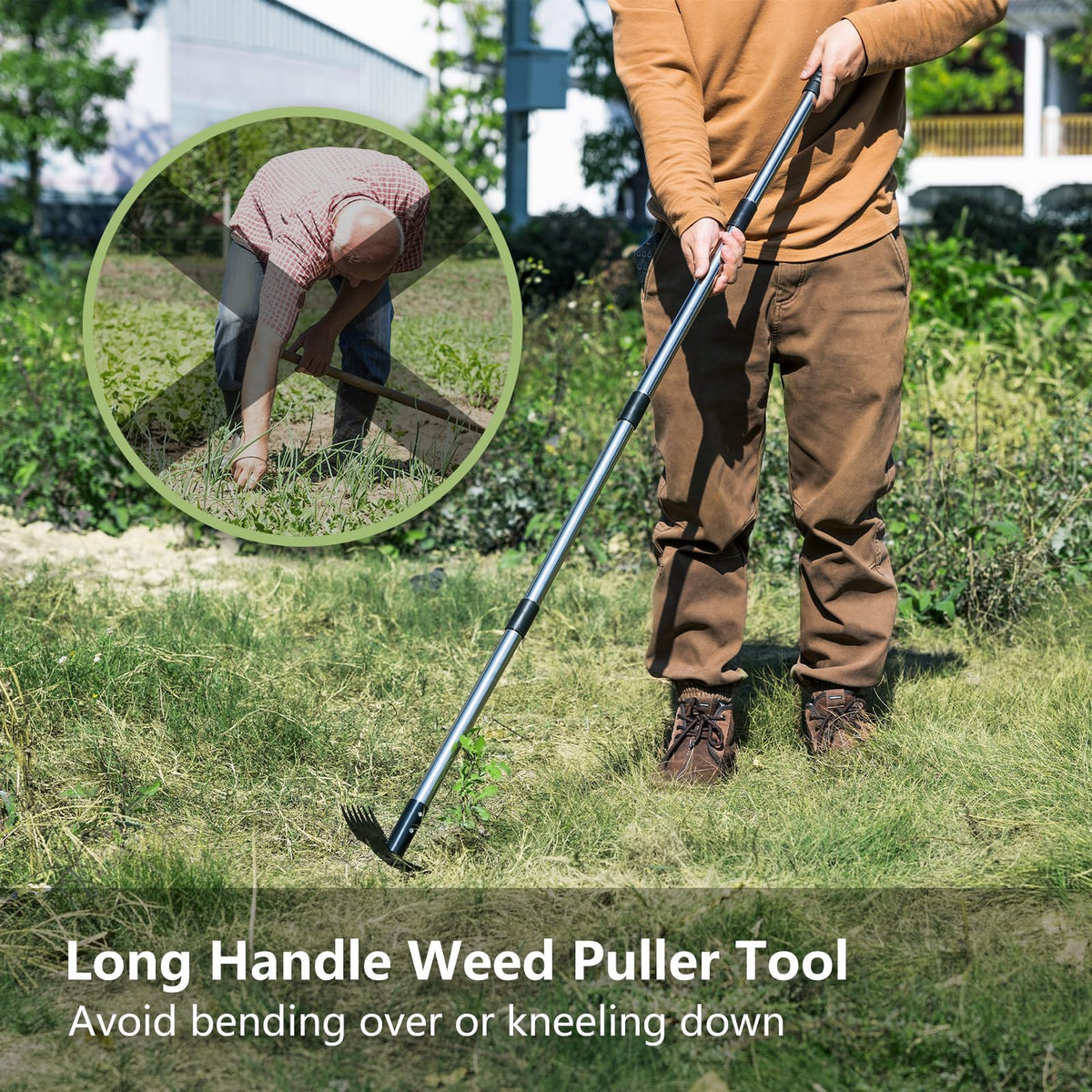 Mitclear 6-tine weeding rake targets weed roots between plants.