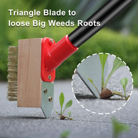 Mitclear three brush heads provide flexible replacement for seasonal cleaning.