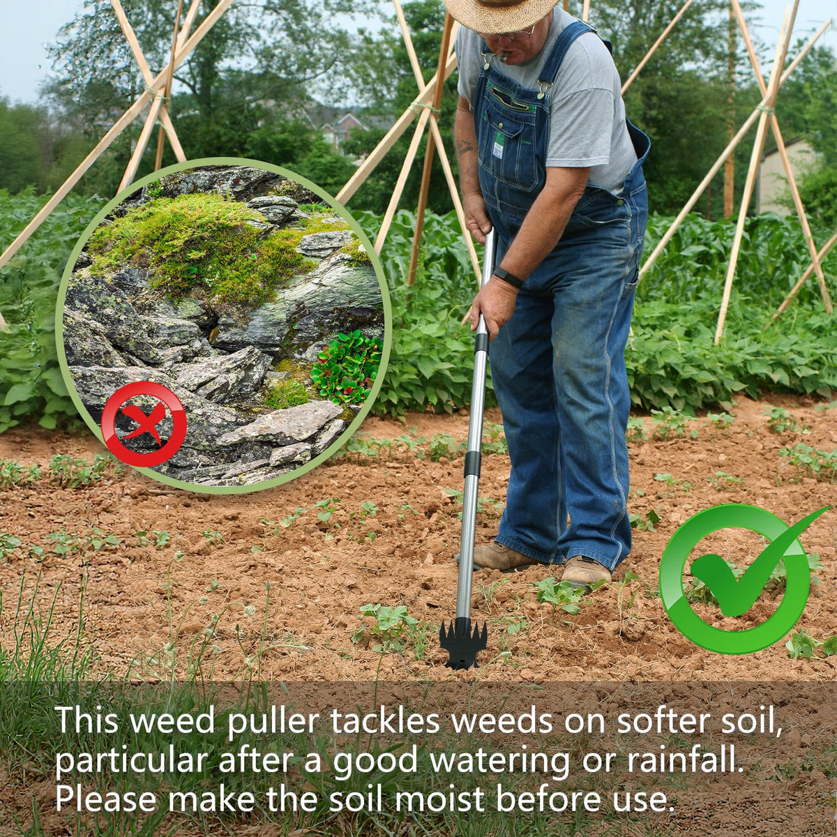 Mitclear garden hoe with curved blade for precise soil cutting and root disruption.