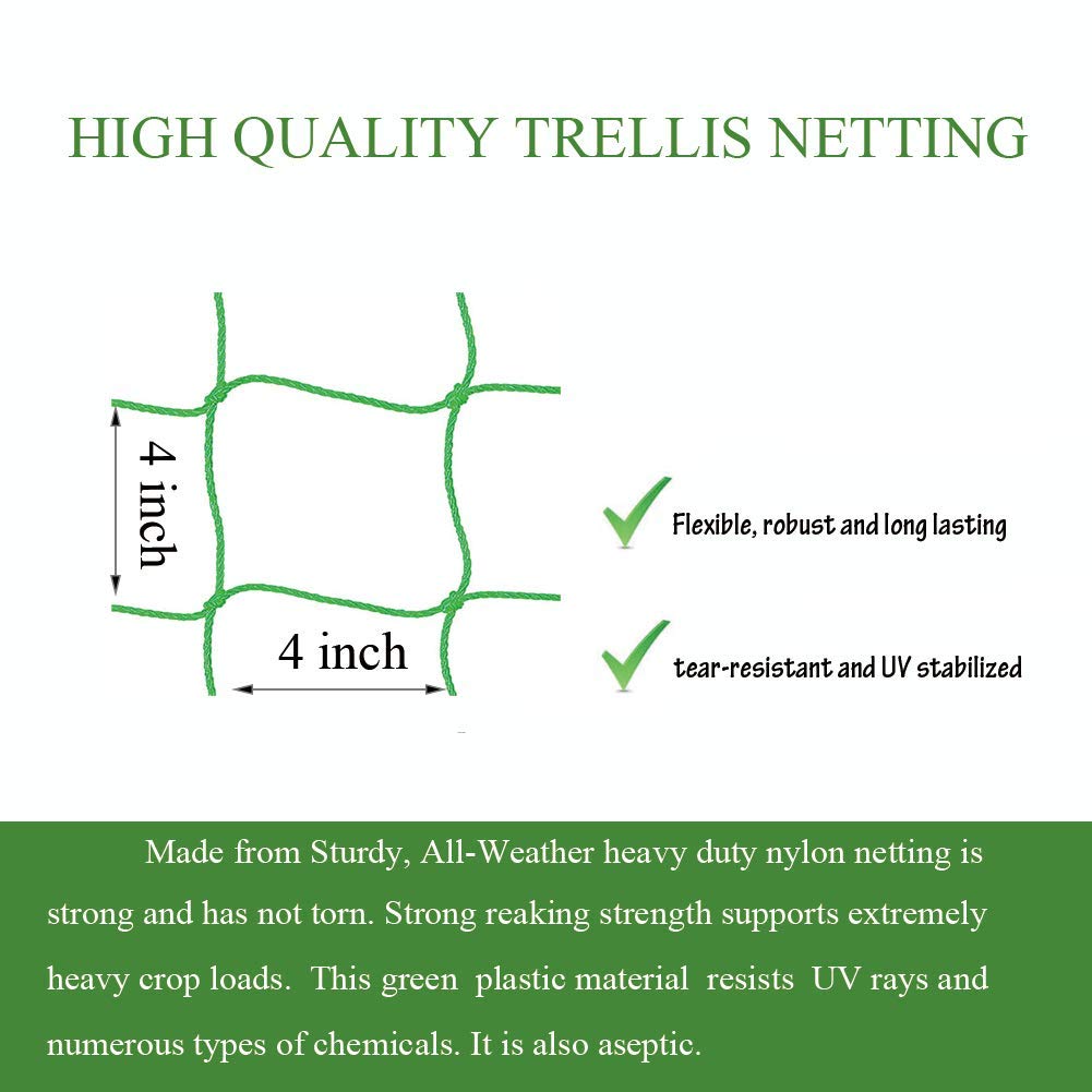 Miuezuth climbing plants support trellis guides vines vertically and saves space