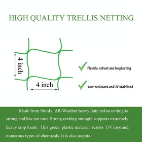 Miuezuth climbing plants support trellis guides vines vertically and saves space