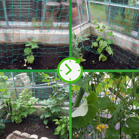Miuezuth green garden netting ideal for cucumbers, tomatoes and beans