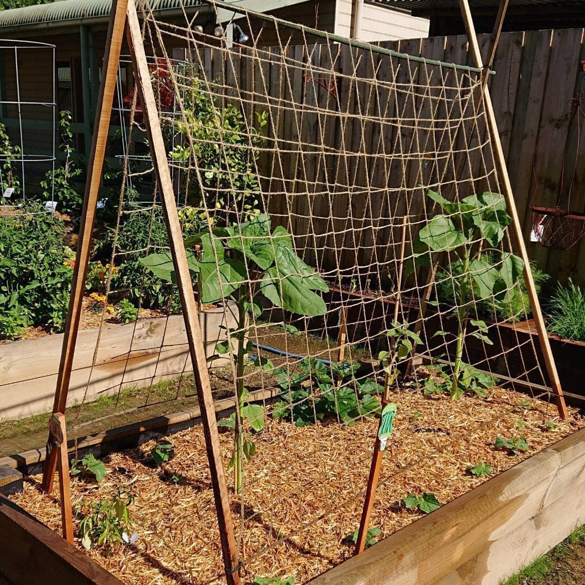 Miuezuth Jute Trellis Netting biodegradable and eco friendly for end of season disposal