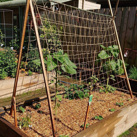 Miuezuth Jute Trellis Netting biodegradable and eco friendly for end of season disposal