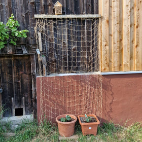 Miuezuth jute netting provides climbing plants with reliable support.