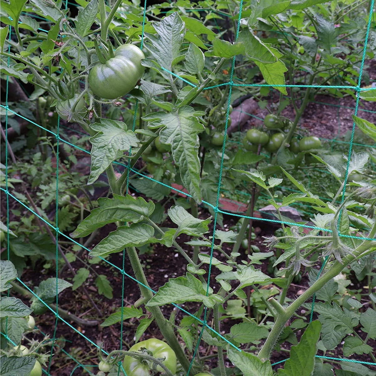 Miuezuth Trellis Netting material is UV-stabilized and weather-resistant.