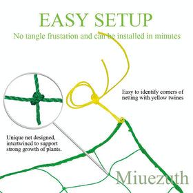 Miuezuth trellis netting setup trains vines for even sun exposure.