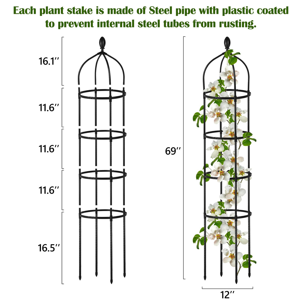 Miuwauer Garden Obelisk Trellis provides reliable Clematis support for vertical growth