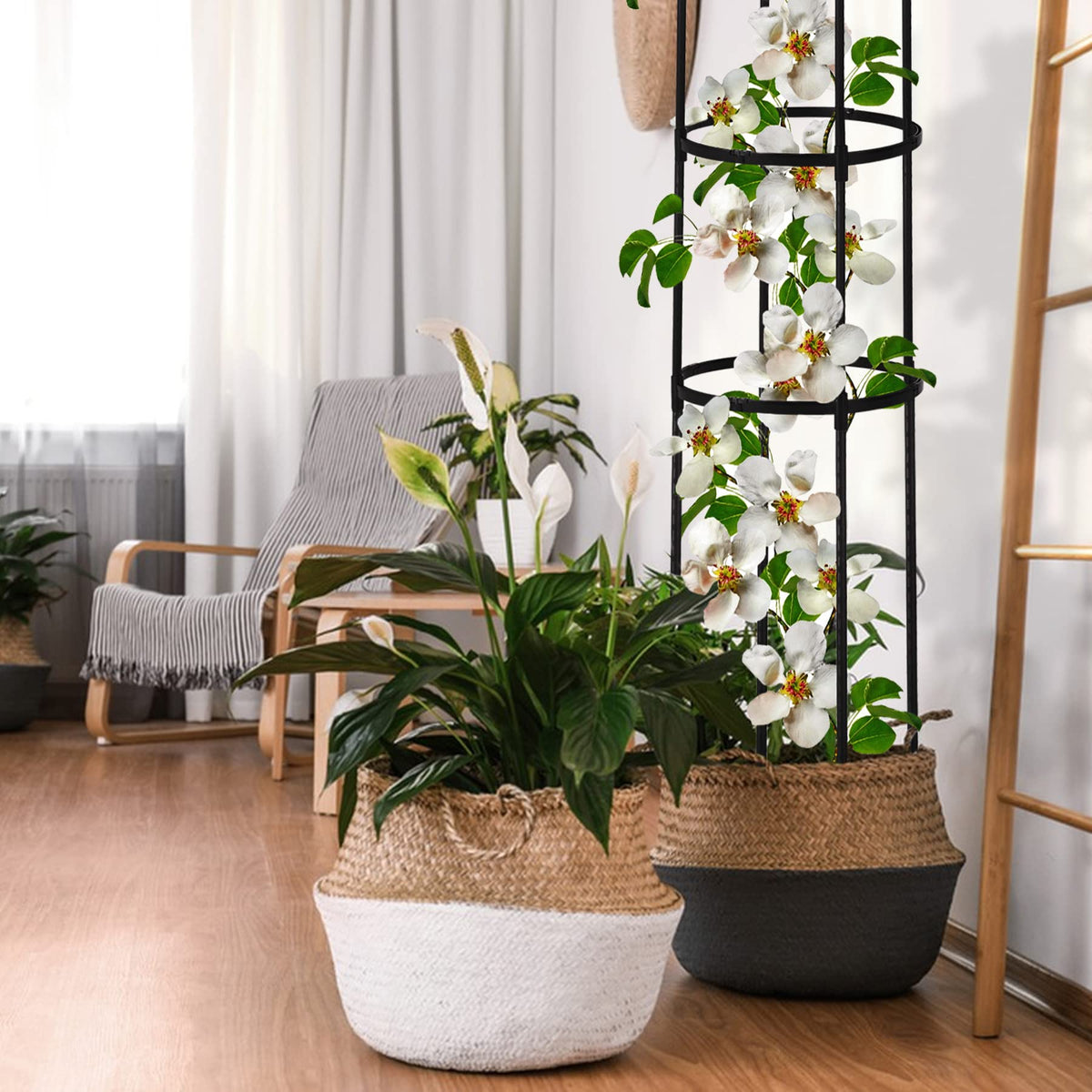 Miuwauer Indoor pot trellis adds structure to potted greenery at home