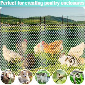 Miuwauer garden setup example for poultry enclosures and protective barriers.