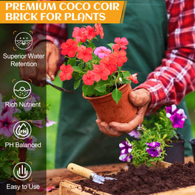 Miuwauer Organic Coco Coir Brick expanded texture ready for root growth.