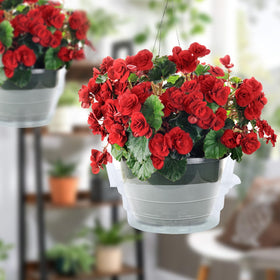 Miuwauer 12-inch liners maintain clear displays while protecting furniture