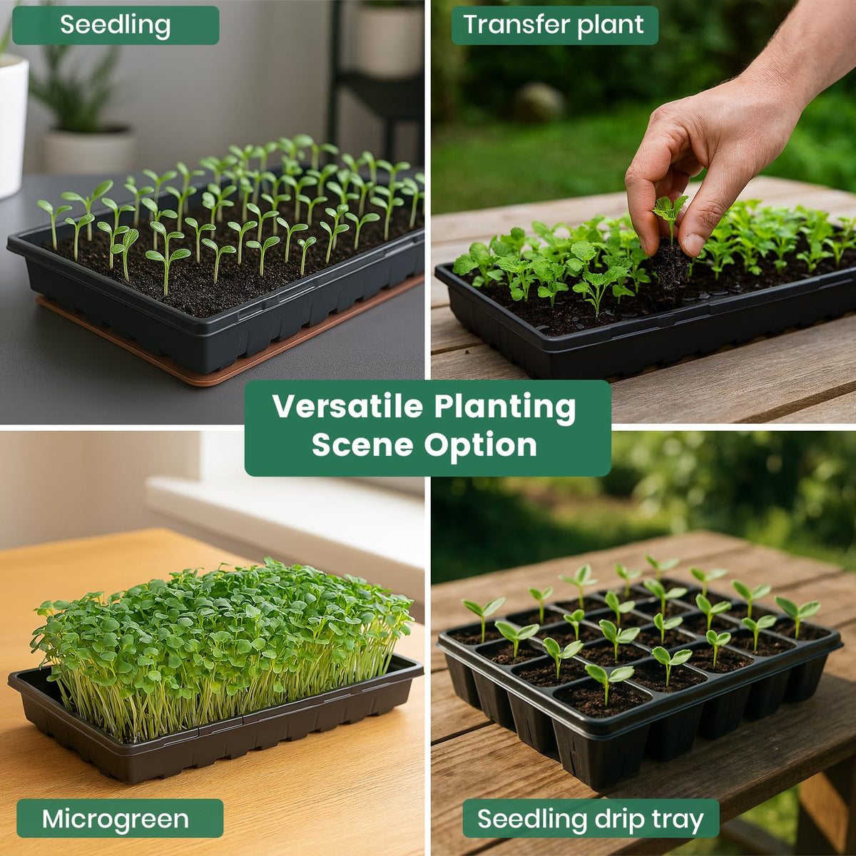 MIXC 1020 system compatible with humidity domes for germination