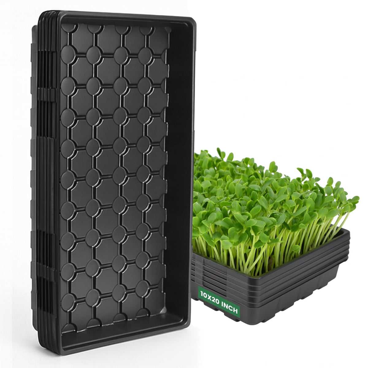 MIXC 1020 trays organized layout for precise seed starting and labeling