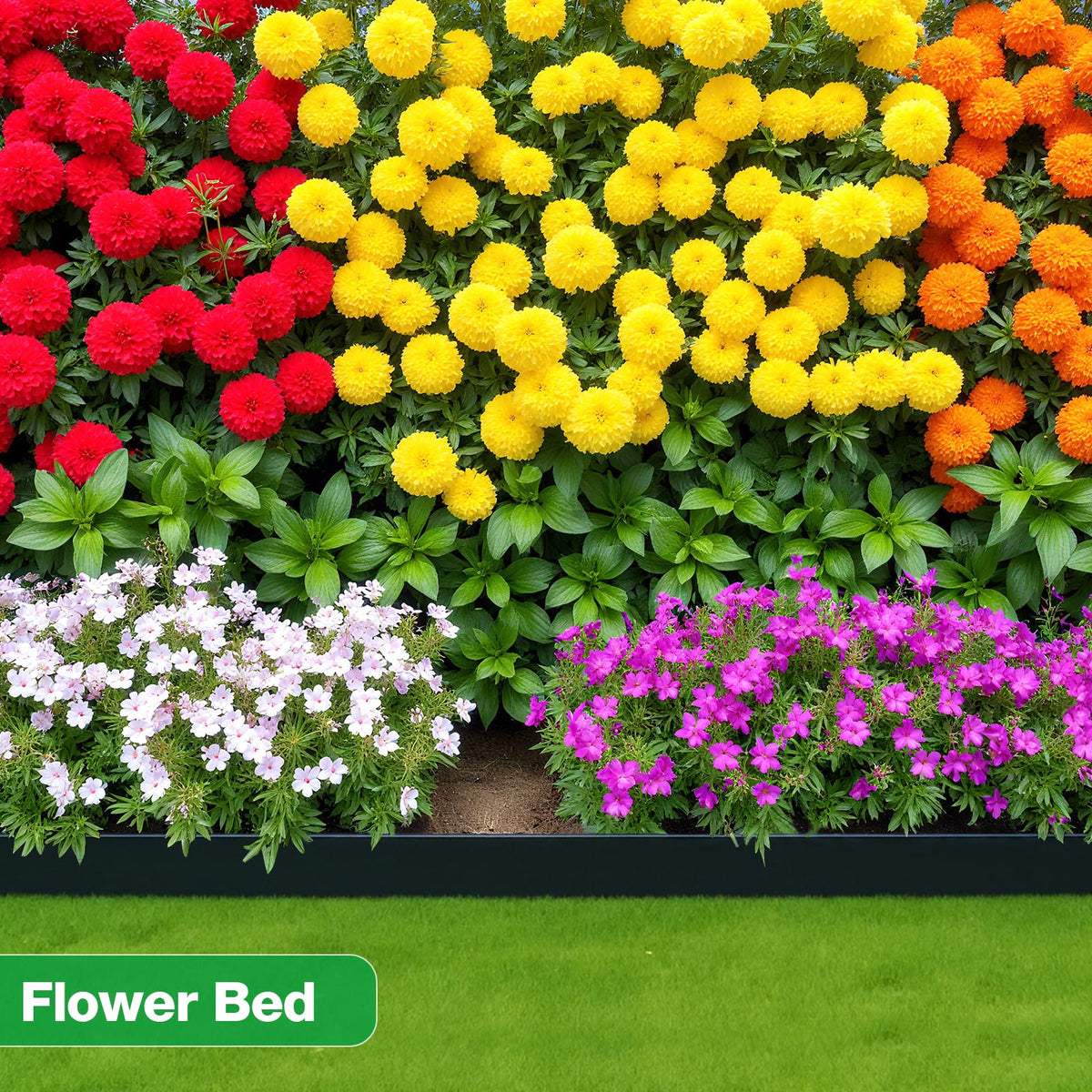 MIXC border for flower beds and pathways creates neat separations