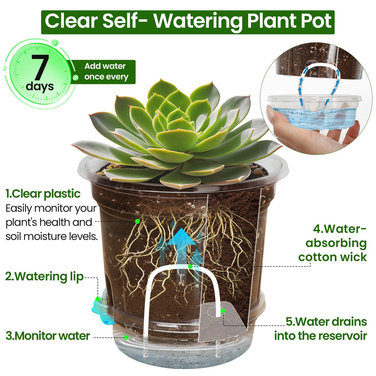 Mixc clear nursery pot shows soil and roots for quick plant assessments.
