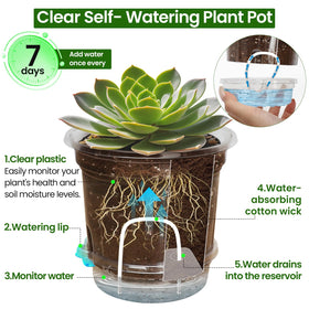 Mixc clear nursery pot shows soil and roots for quick plant assessments.