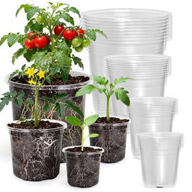 MIXC clear nursery pot 3.5-inch with transparent walls for root observation
