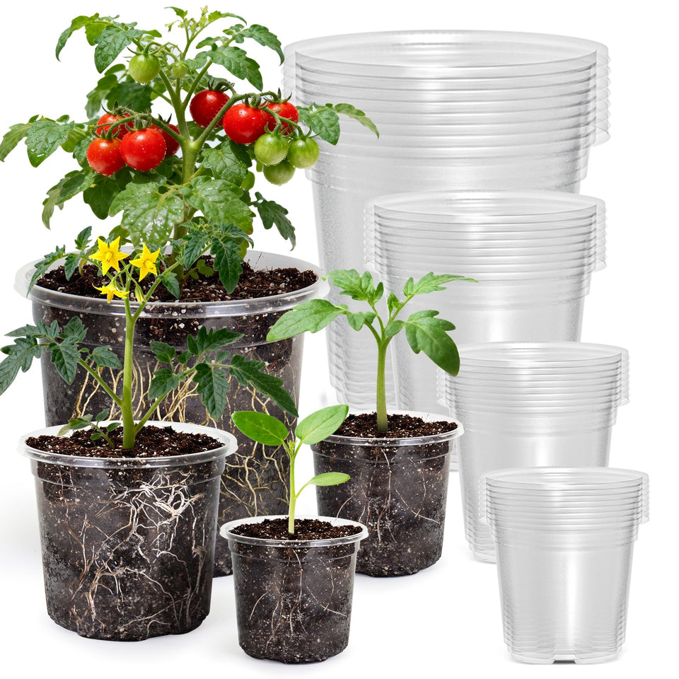 MIXC clear nursery pot 3.5-inch with transparent walls for root observation