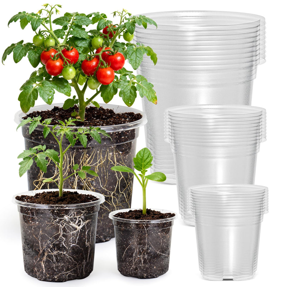 MIXC Clear Nursery Pots 4-inch front view for easy seedling observation