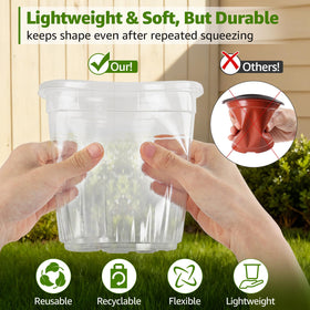 MIXC clear nursery pots in 4-inch size provide easy root observation