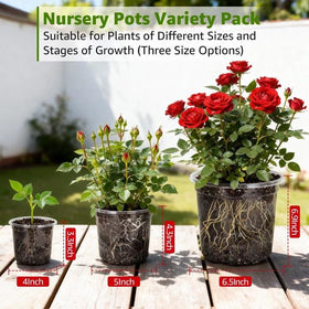 MIXC Clear Nursery Pots 7-inch top view for transplant readiness