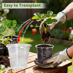 MIXC clear nursery pots transparent design enables quick root and moisture checks