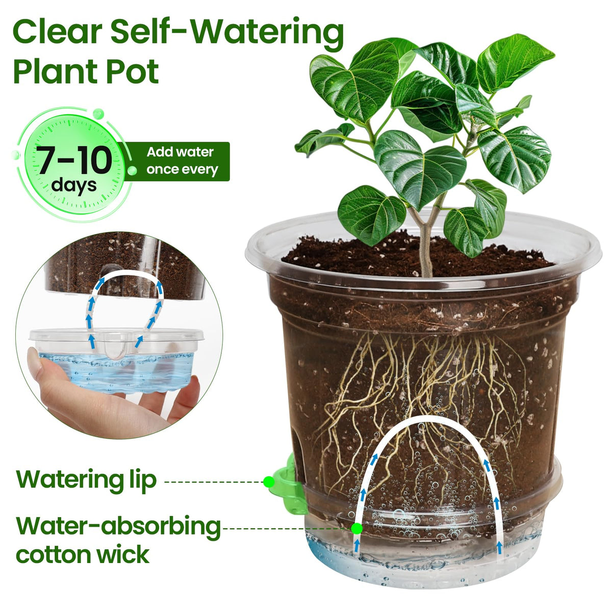 MIXC clear nursery pots allow quick visual health and moisture checks