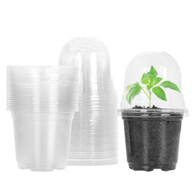 MIXC clear pot with humidity dome improves germination and moisture retention.