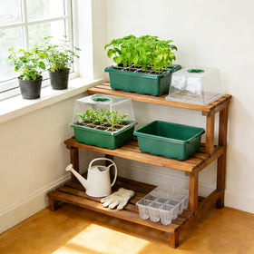 MIXC Complete seed starter kit with 10 sets for plants