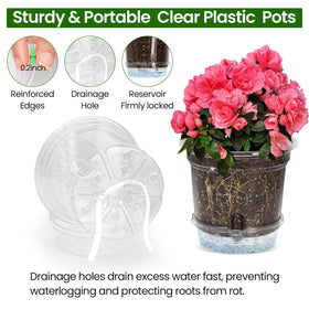 Mixc drainage holes and detachable saucer prevent overwatering and keep surfaces clean.