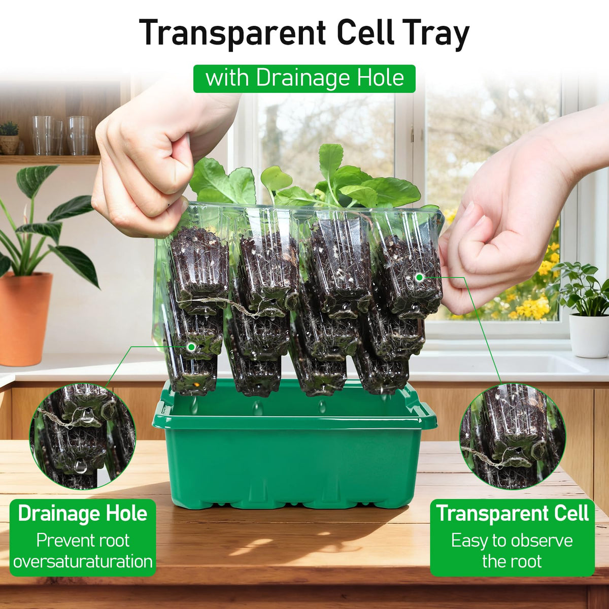 MIXC Durable, reusable plastic trays for long-term gardening