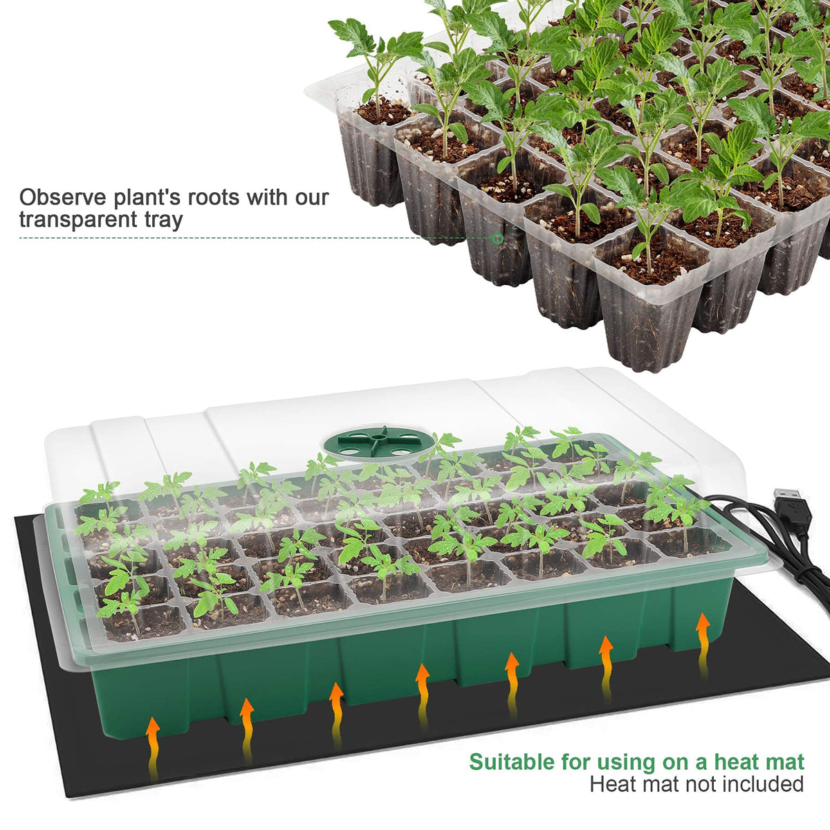 MIXC included tools aid quick transplanting and care.